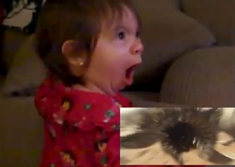 Baby's Reaction to Star Wars
