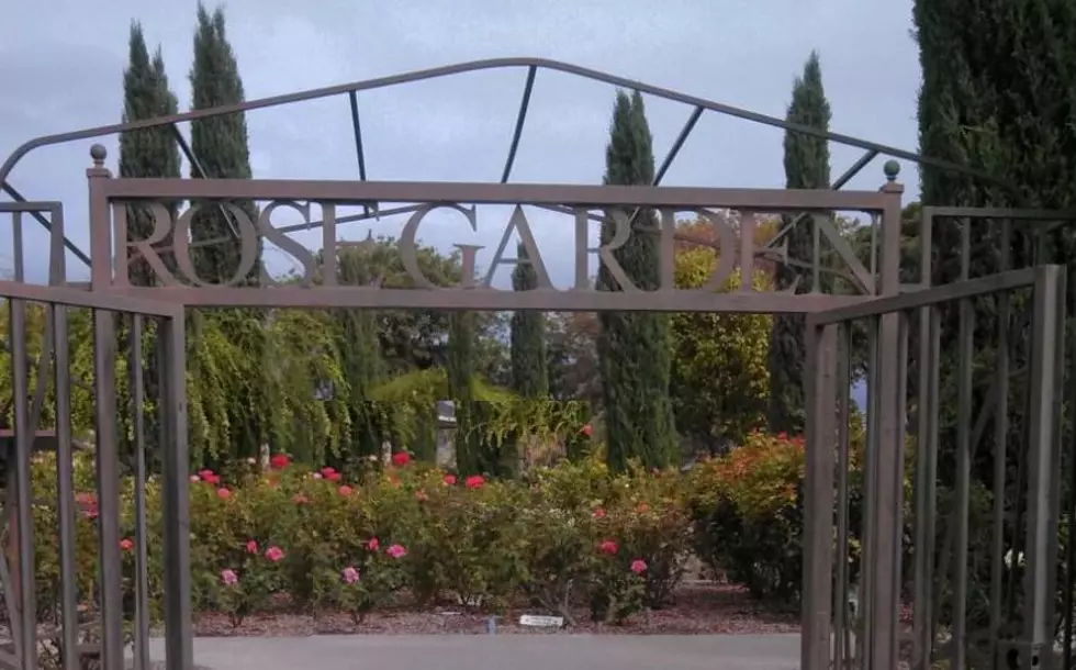 The Municipal Rose Garden Is One of El Paso’s Hidden Gems