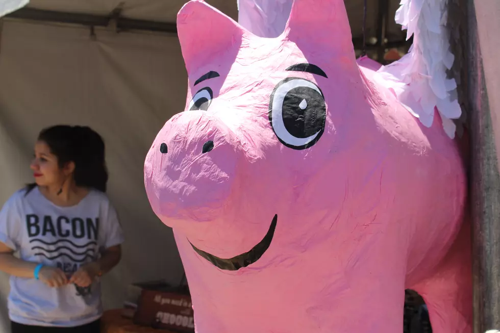 2016 BaconFest Was a Thing of Beauty [PHOTOS]