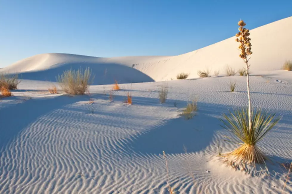 Summer Is Heating Up With The White Sands Adventure Package – Free For The Kids