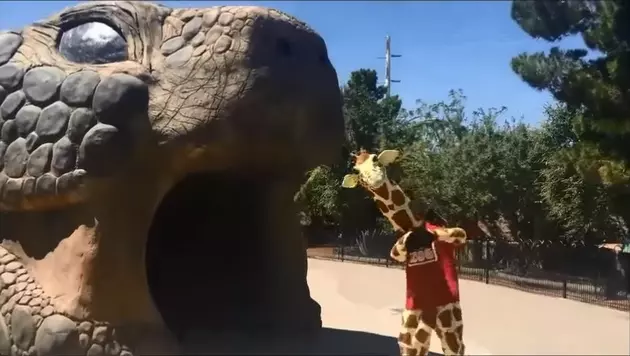 El Paso Zoo&#8217;s &#8216;Can&#8217;t Stop the Feeling&#8217; Video is a Fun, Joyous Dance Party