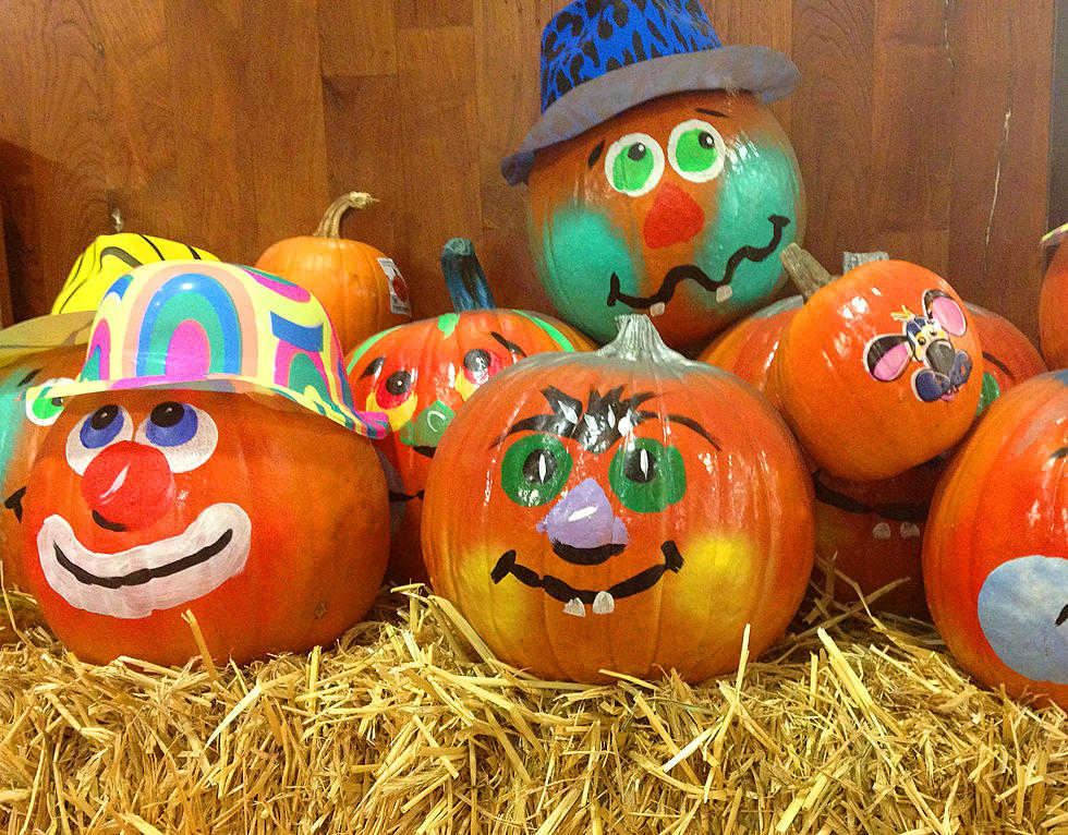 Welcome the Fall Season with Pumpkin Painting & Pizza at Local Pecan Farm