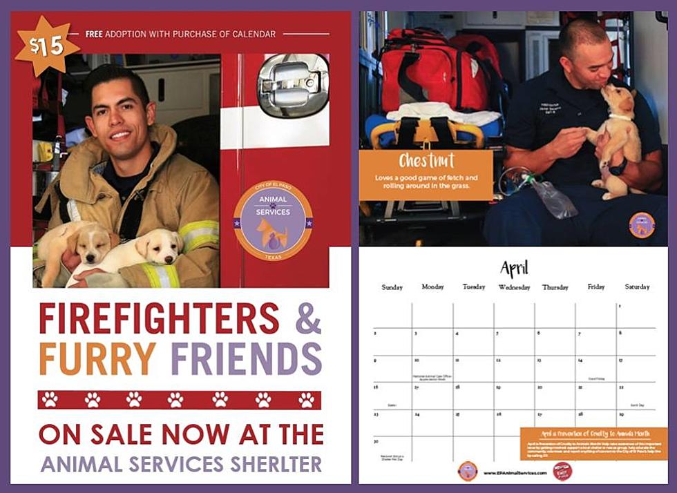5 Great Reasons To Buy The ‘Firefighters And Friends’ Calendar From El Paso Animal Services – One Of Them Is The Hottie Firefighters