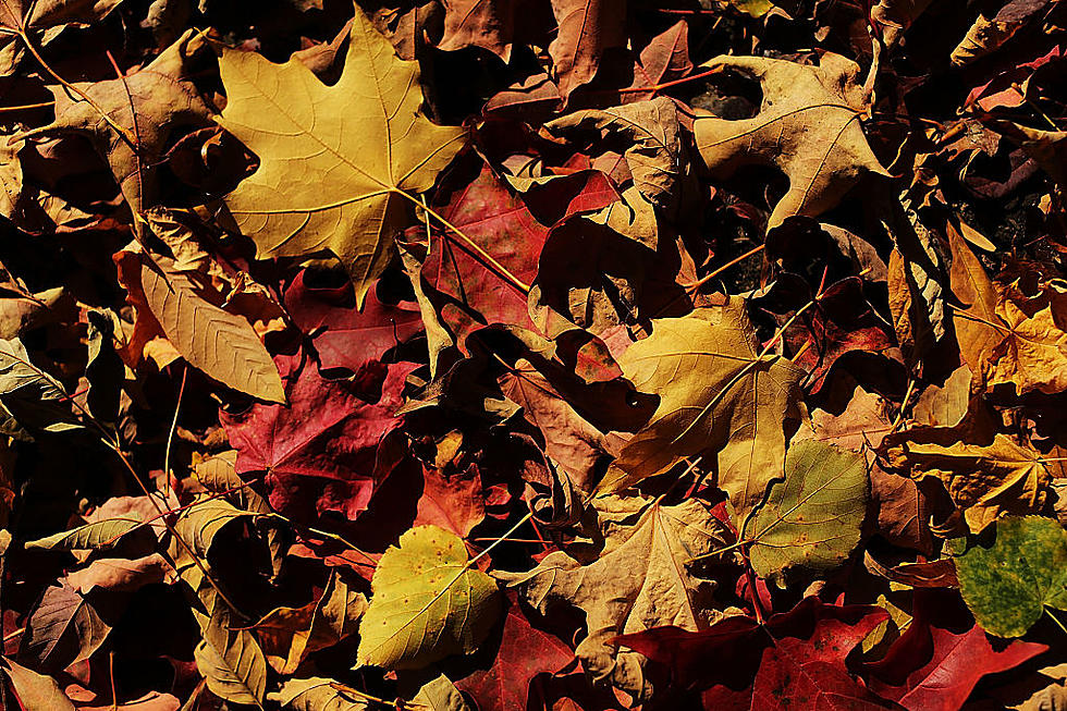5 Reasons Why Fall is Better Than Summer