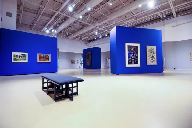 El Paso Museum of Art Opens New Garden Theme Art Exhibit