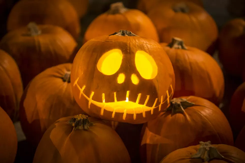 City of El Paso Offering Pumpkin Patch Swimming Event for Halloween