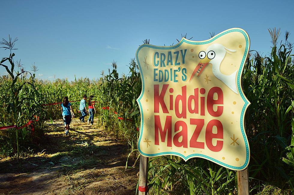 El Paso’s Corn Maze, Pumpkin Patch Sets September Opening Date