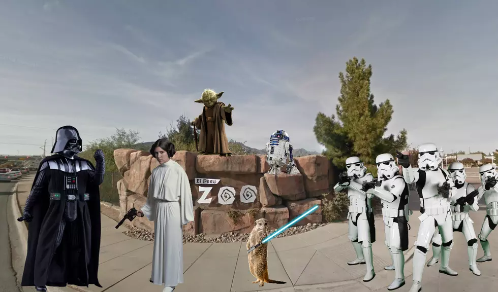 El Paso Zoo Hosting Star Wars Day &#8216;May the Fourth Be with Zoo&#8217; Celebration