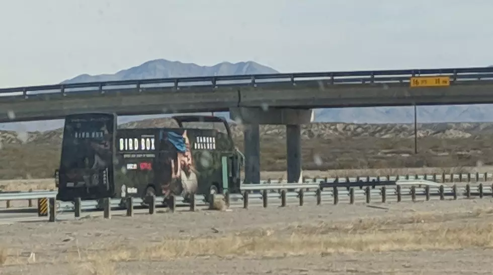 Bird Box Bus Drives Through El Paso