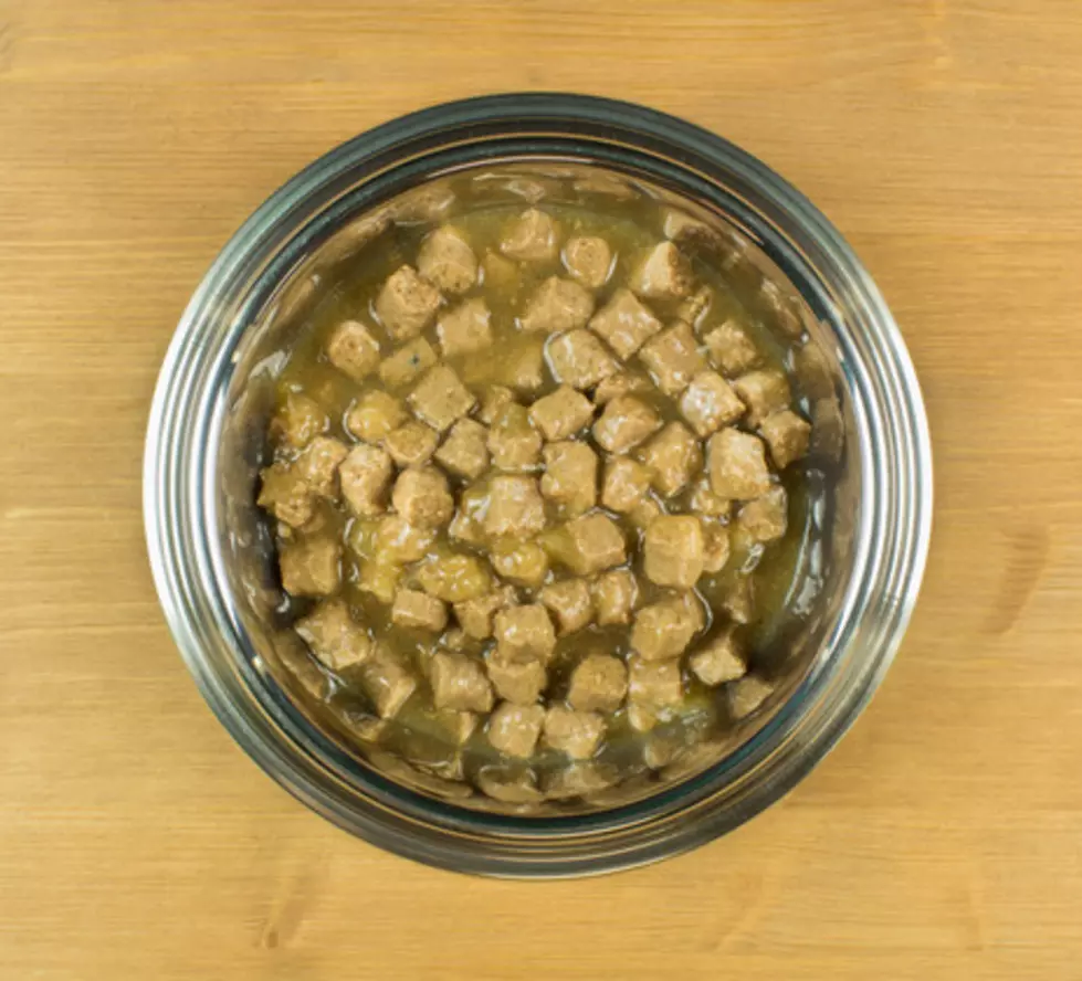 Hill's Pet Nutrition Announces Massive Recall Of Canned Dog Food
