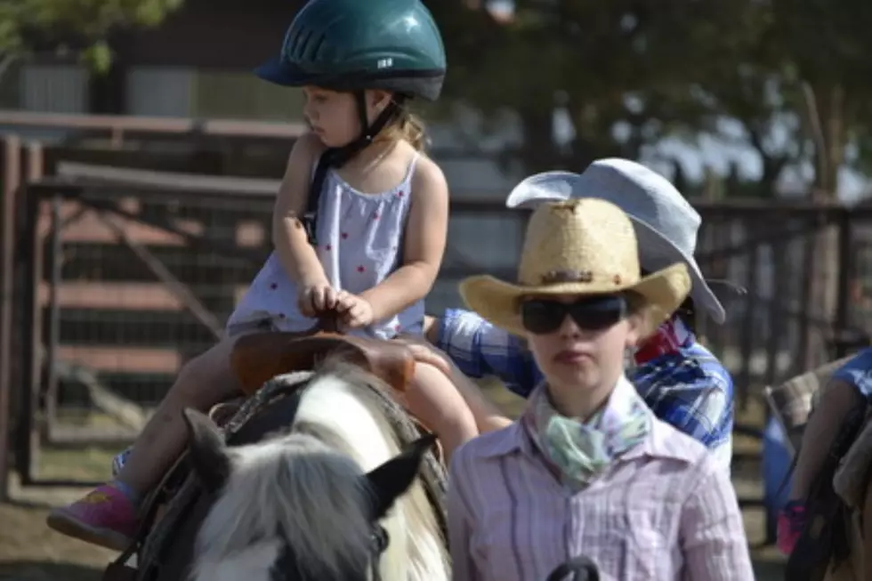 Summer Camp Horse Riding Lessons For The Whole Family