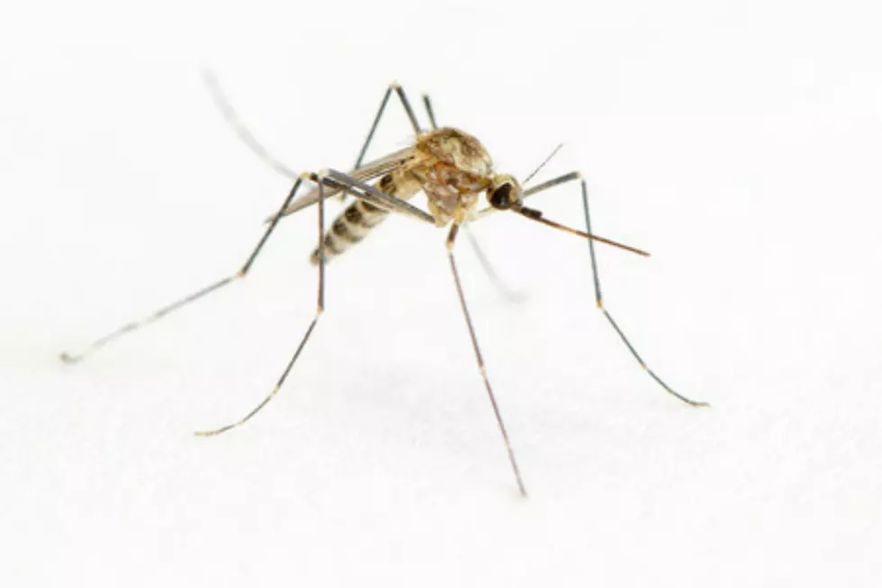 3 New Cases of West Nile Virus Confirmed Rounding Out 10 Cases This Year