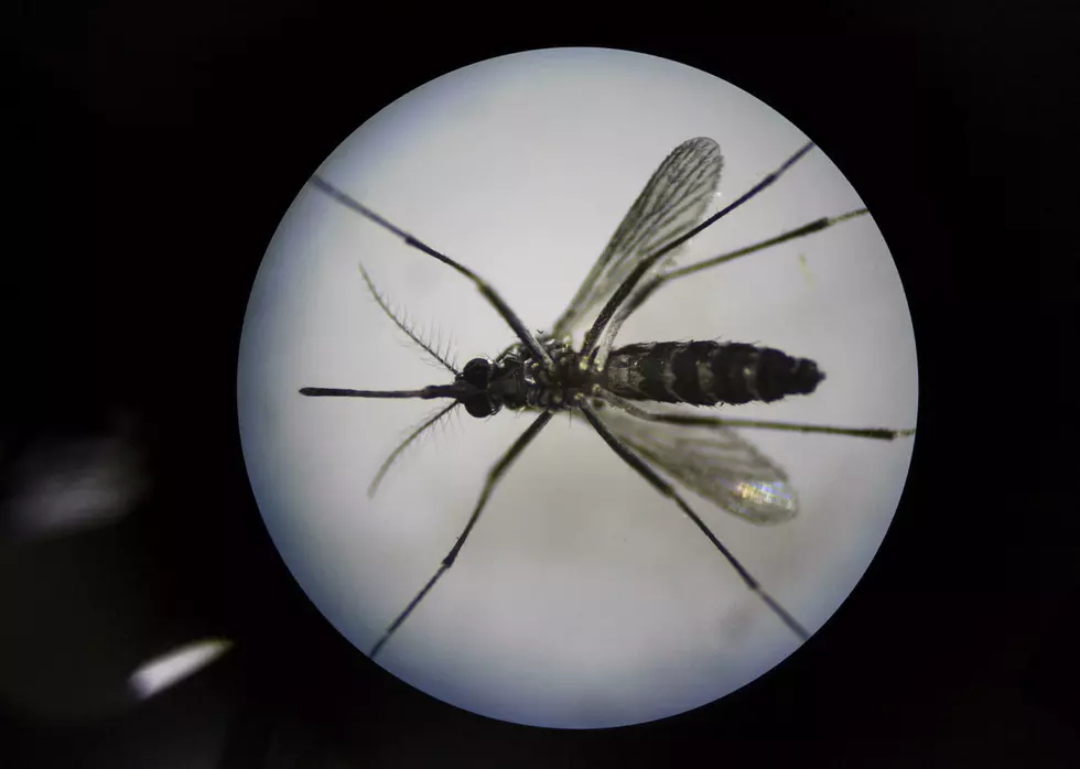 West Nile Virus Cases Rise To 15 This Year in El Paso