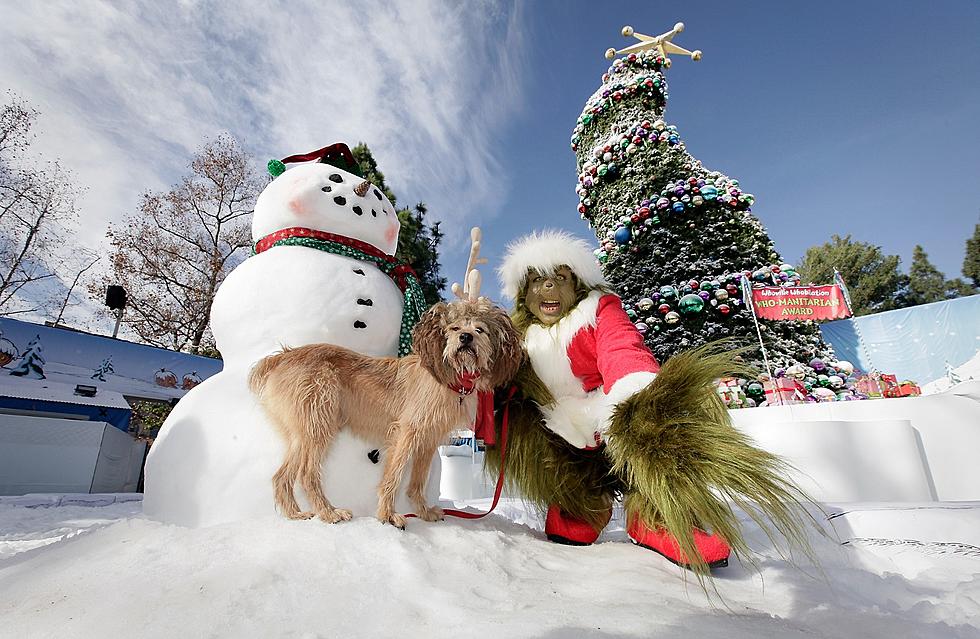Families & Their Pets Can Meet The Grinch This Friday