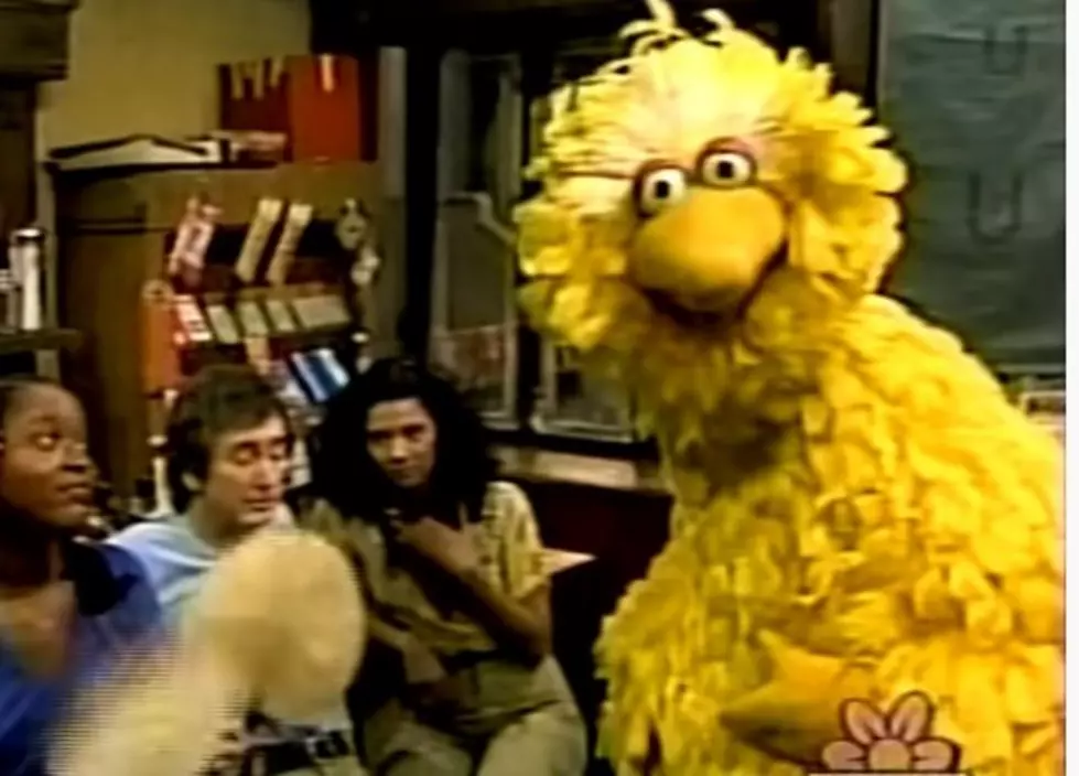 Man Who Played Big Bird Has Died 