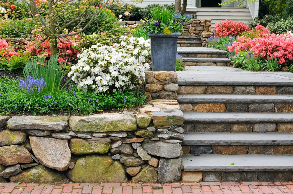 EP Water's Website Shows You How To Build Your Yard And Garden