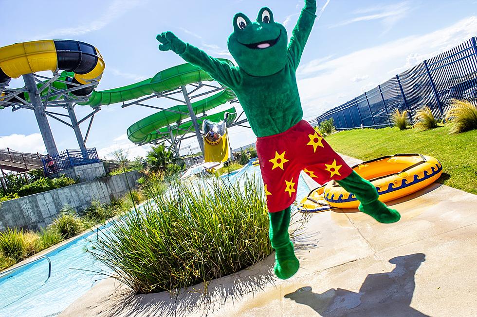 Here's What a Day at Wet N' Wild Will Be Like When It Reopens 