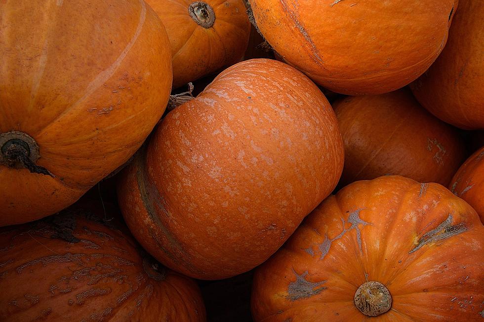 El Paso Area Pumpkin Patches to Open with COVID Safety Protocols
