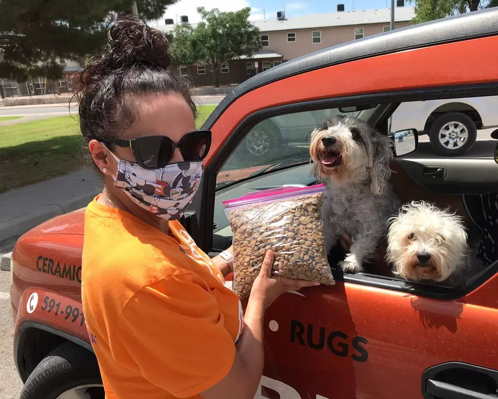 El Pasoans Fighting Hunger Teams Up With Animal Services for November Pet Food Distribution