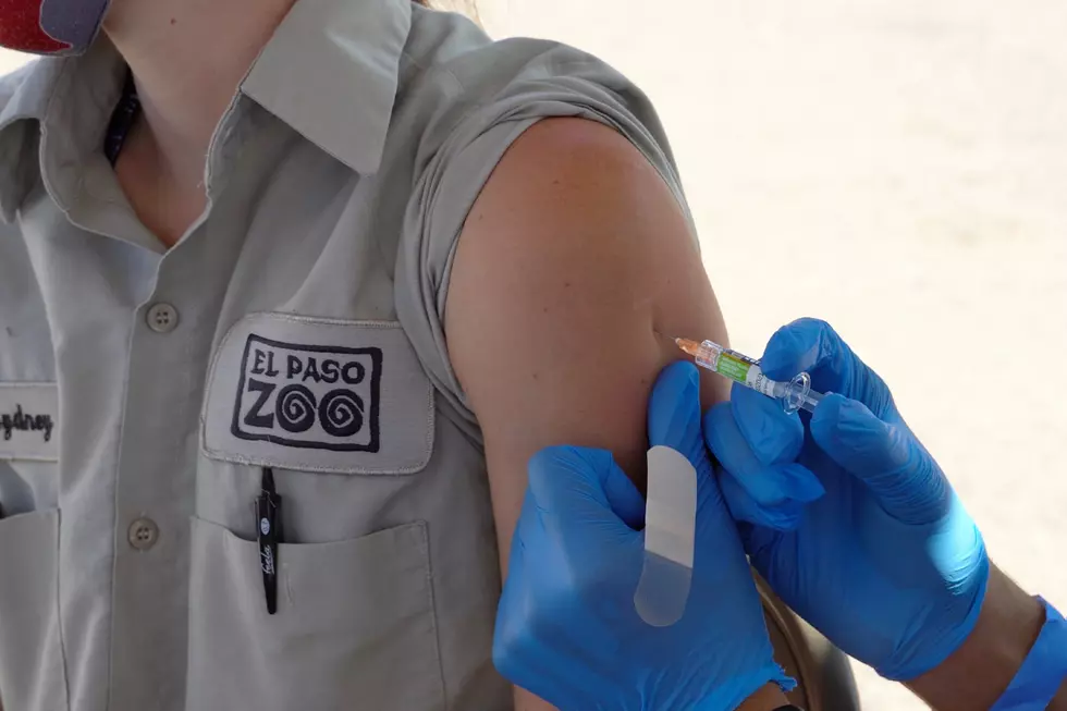 El Paso Zoo Hosting Free Drive Thru Flu Shot Event This Tuesday