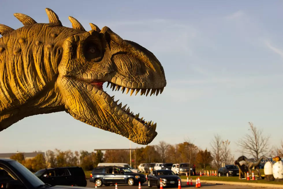 Family-Friendly Dinosaur Drive-Thru Event in El Paso This Weekend