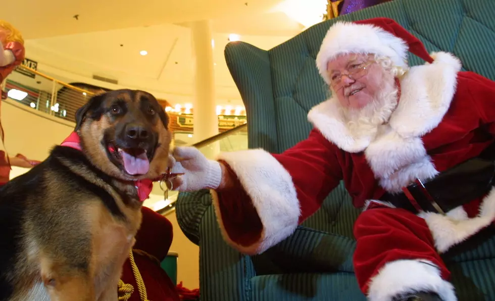 Where To Take Your Pet Photos With Santa In El Paso