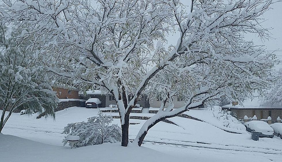 Snow Forecast for El Paso on Valentine’s Day, Here’s How Much We Could Get