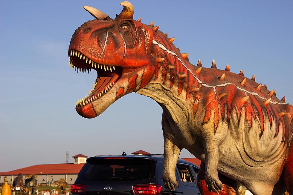 Dinosaur Drive-Thru Event Roars Into Las Cruces in June
