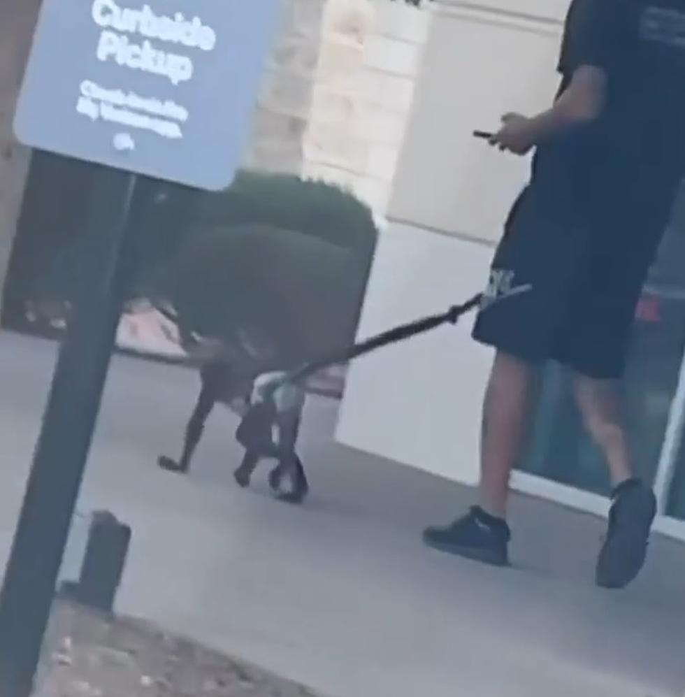 FitFam Posts Video of Monkey in Diaper at The Fountains & El Paso Got Jokes