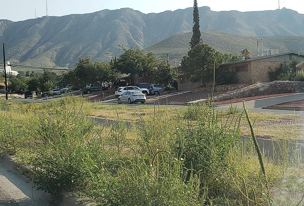 El Paso Streets & Maintenance Explains Why City Overrun with Weeds