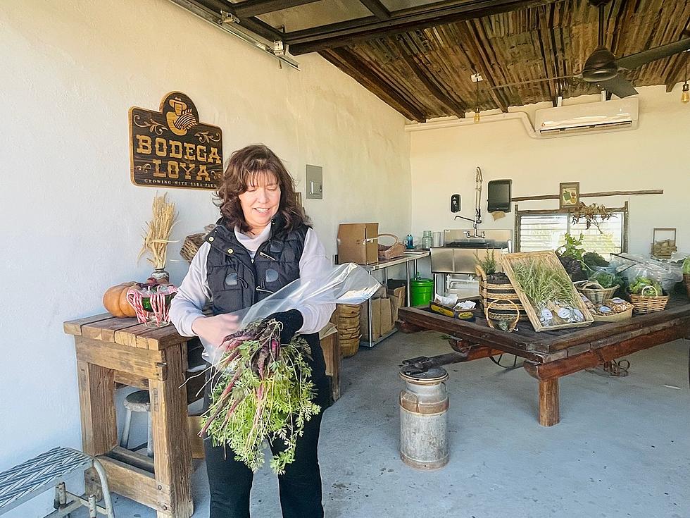 Discover One Of El Paso's Hidden Treasures At Bodega Loya Farm