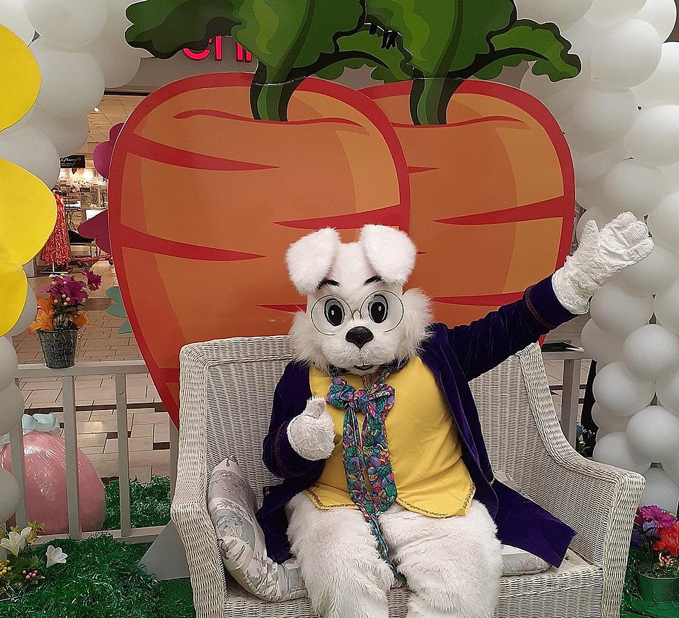 Where Kids, Pets Can Pose With the Easter Bunny in El Paso