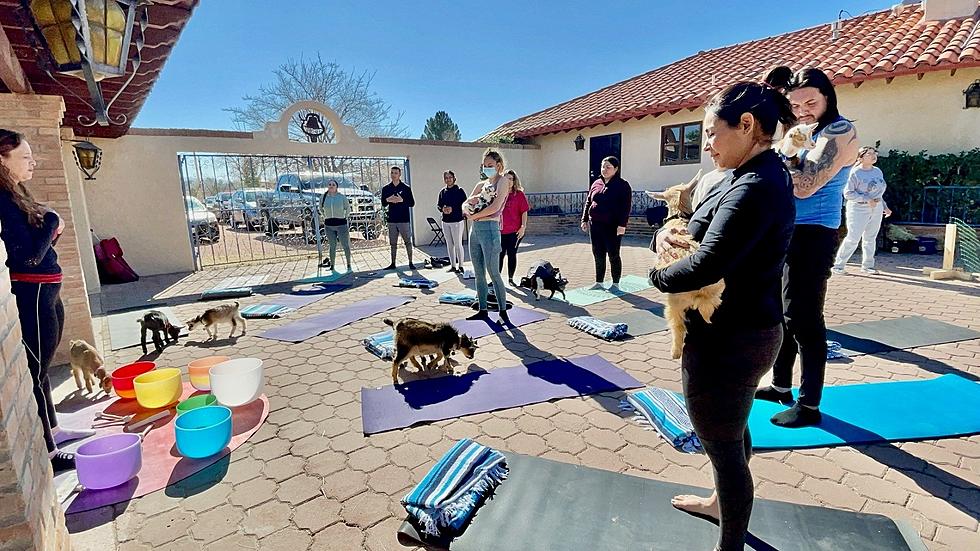 El Paso’s Goat Yoga Farm Is So Popular Sessions Are Selling Out