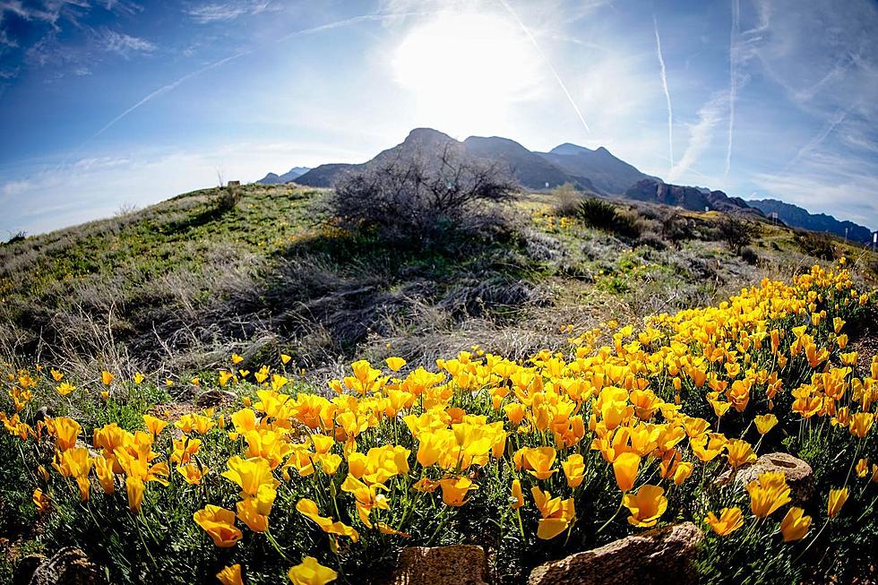 Here’s Why It’s Important That Castner Range Is Now A National Monument Site