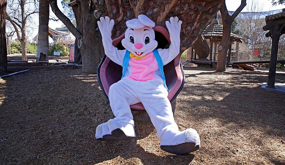 Eggscitement Awaits Easter Weekend at El Paso Zoo 
