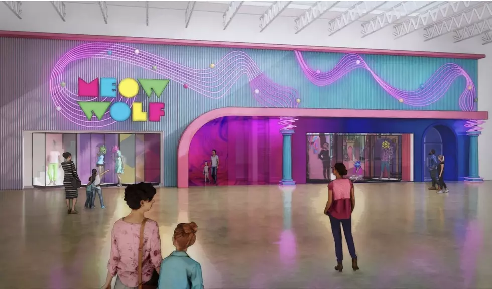 Meow Wolf Will Soon Open Two New Texas Locations