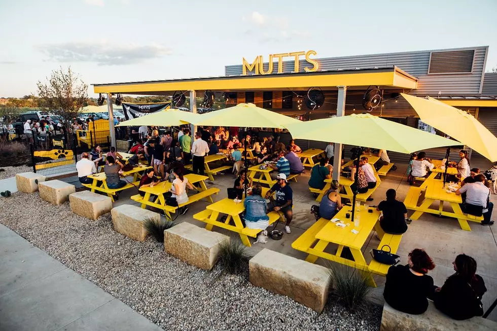 MUTTS Canine Cantina Announces Grand Opening Date For This Texas City