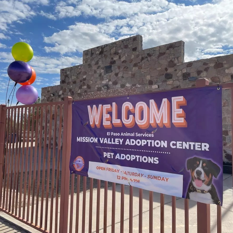 El Paso Animal Services Opens Second Adoption Center In Socorro