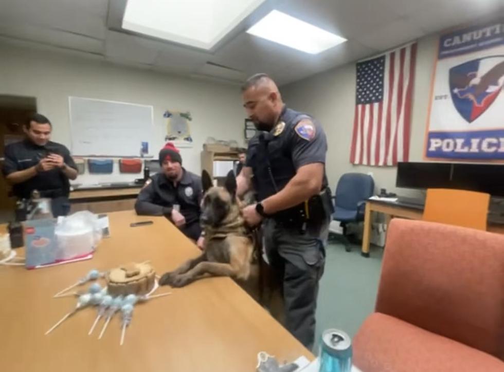 CISD Officers Hold A PAWsome Birthday Celebration For K9 Officer
