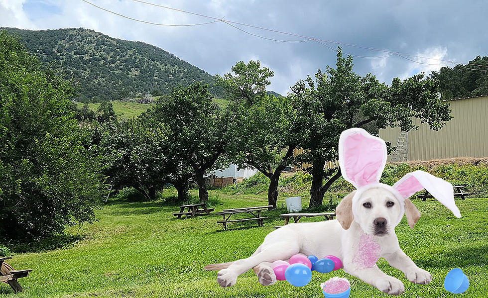 Easter Egg Hunt Fun in the Mountains of New Mexico is a Day-Trip Drive from El Paso