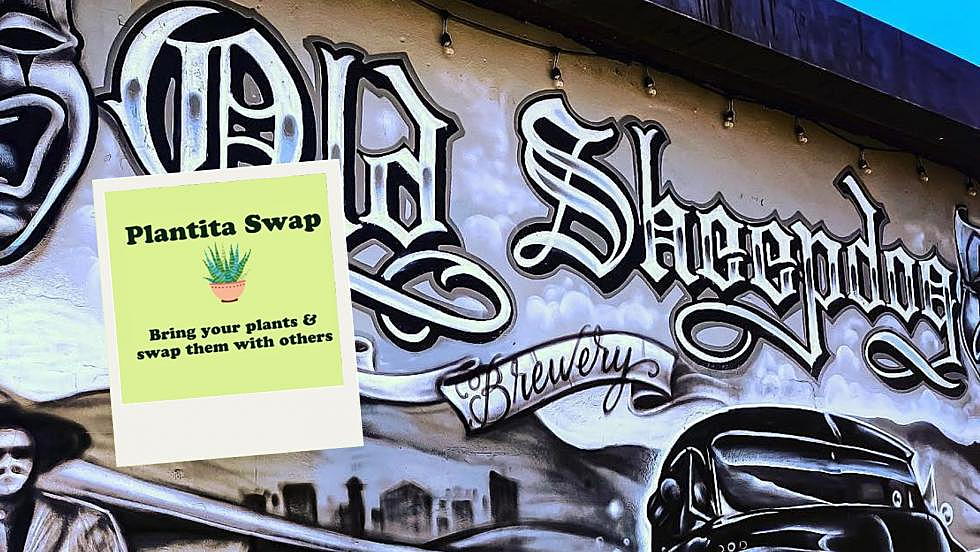 Join El Paso&#8217;s 2nd Annual “Plantita Swap” at Old Sheepdog Brewery