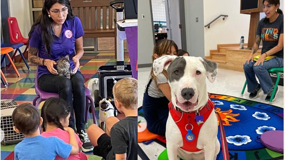 Read To Shelter Pets At ‘Kitty and Doggie Storytime’ 