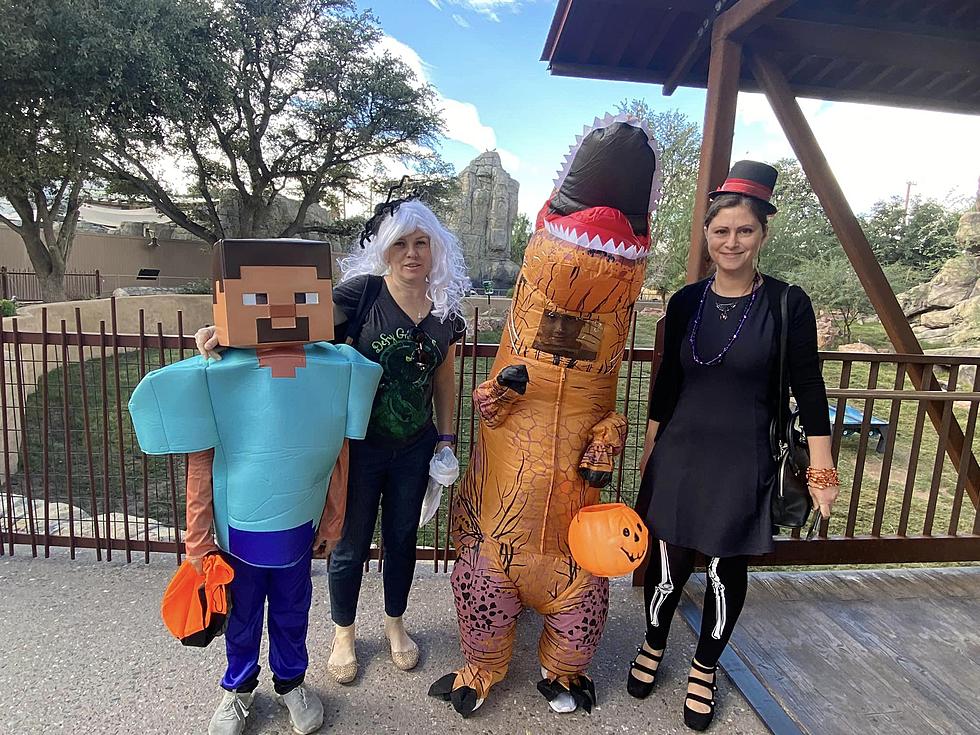 Boo at the El Paso Zoo Is Back: Family-Friendly Frights Await 