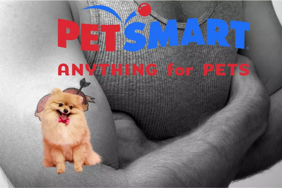 From Mistake To Masterpiece: PetSmart’s Pet Tattoo Transformation Contest