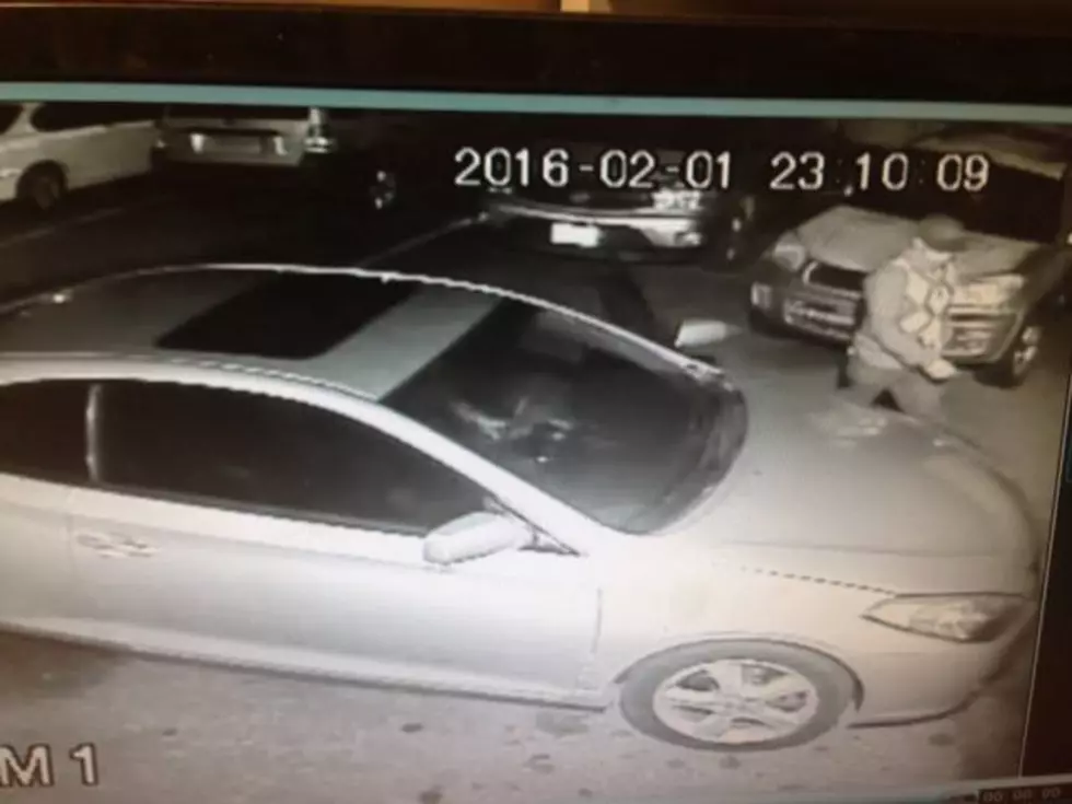 Kennewick Police Searching for Car Lot Thieves [PHOTOS]
