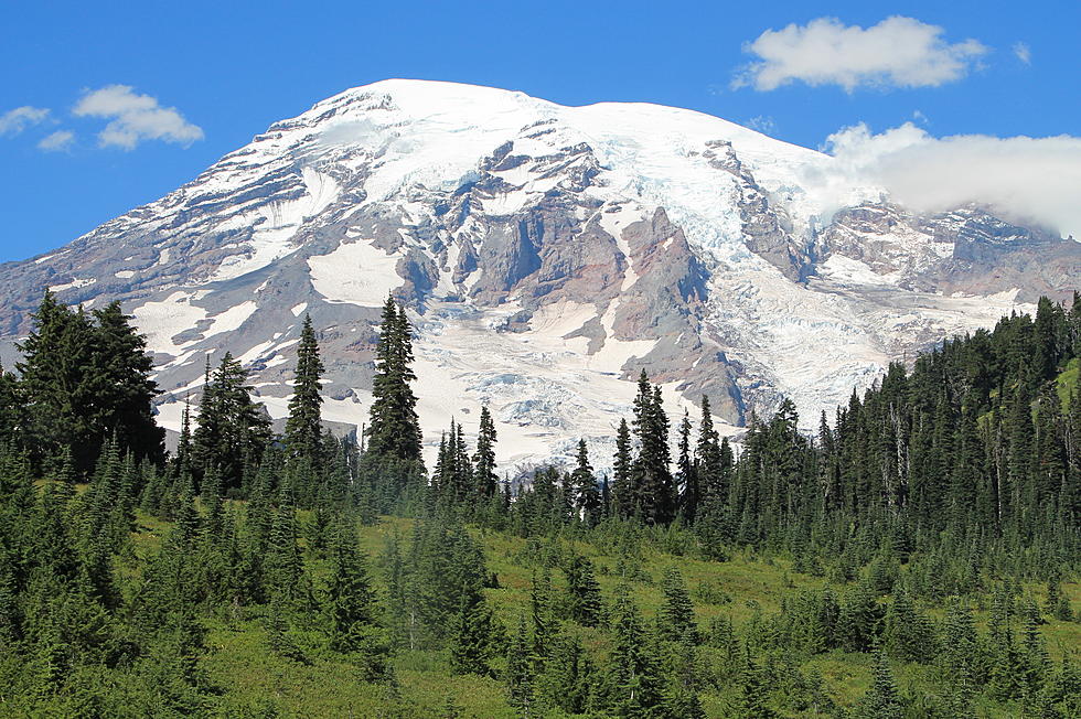 Mount Rainier is Running For Best National Park and Needs Your Vote!