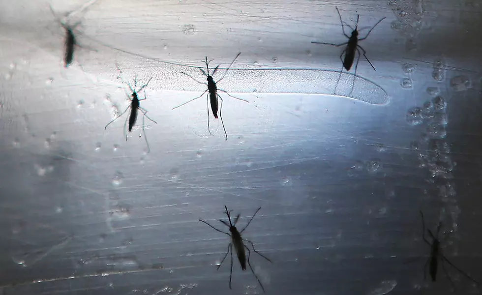 Woman Catches West Nile Virus in Benton County