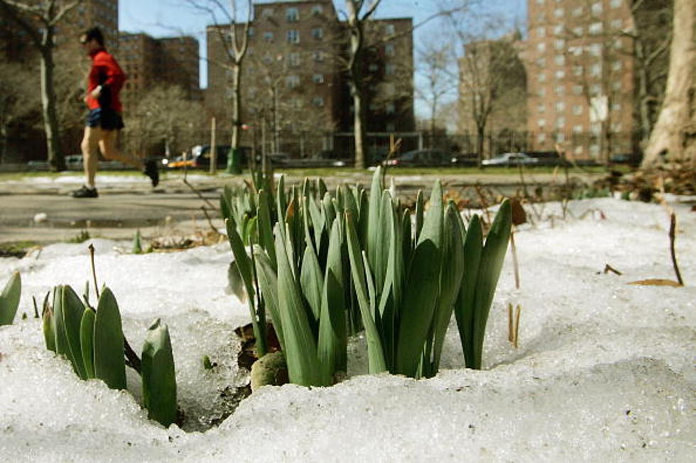Top 5 Things We’re Dying to Do Once the Snow Melts