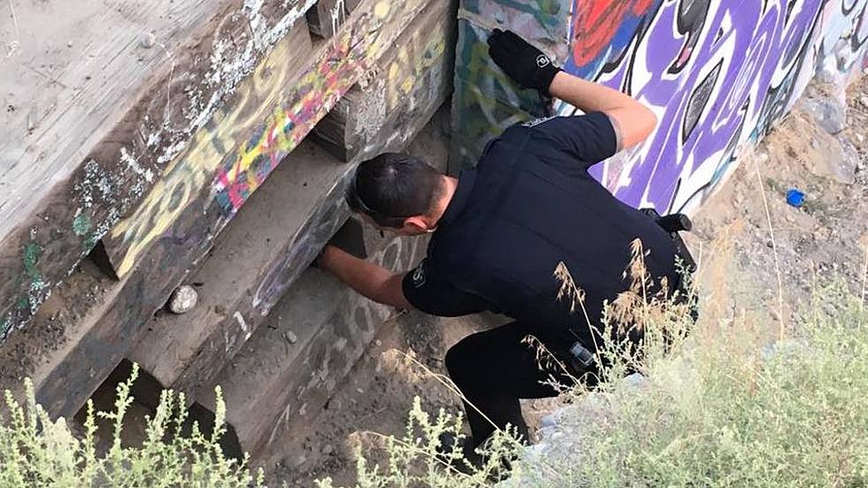 Graffiti Artists Caught Red Handed By Kennewick Police&#8230;YES