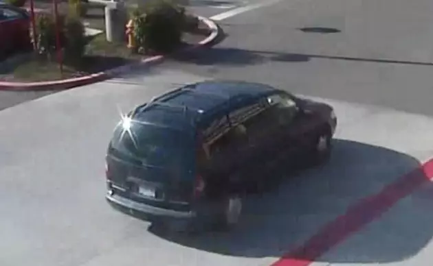 Purse Snatcher Driving This Green Van Sought by Police